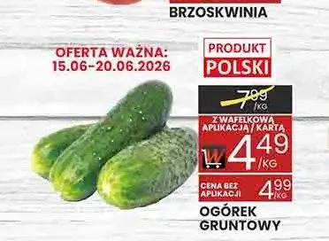 Ogórek gruntowy promocja w Wafelek