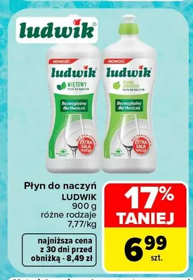 Płyn do naczyń Ludwik Miętowy promocja w Carrefour Market