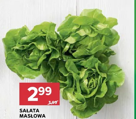 Sałata masłowa promocja w Stokrotka