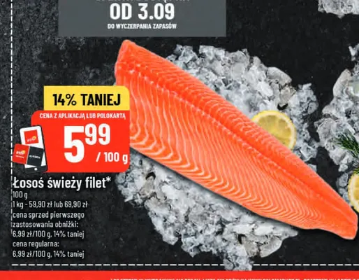 Łosoś świeży filet promocja w POLOmarket