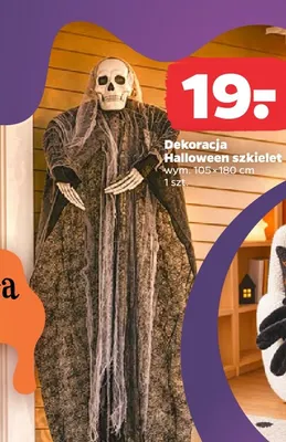 Dekoracja Halloween szkielet 105x180 cm promocja w Netto