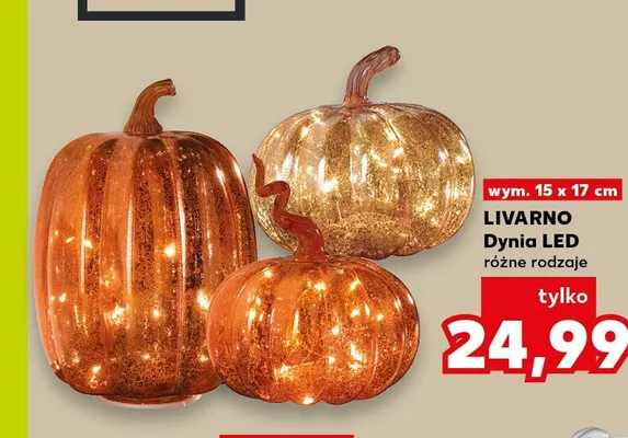 Dynia LED Livarno promocja w Kaufland