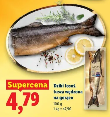 Dziki łosoś, tusza wędzona na gorąco promocja w Lidl