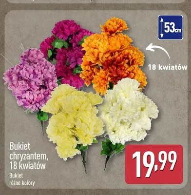 Bukiet chryzantem 18 kwiatów promocja w Aldi