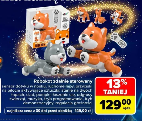 Robokot zdalnie sterowany promocja w Carrefour