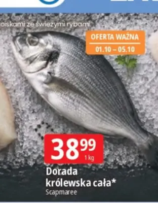 Dorada królewska cała Scapmaree promocja w Leclerc