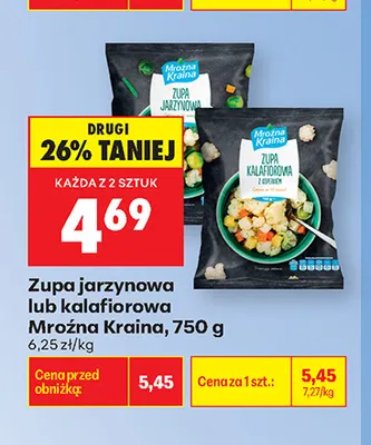 Zupa jarzynowa Mroźna Kraina promocja w Biedronka