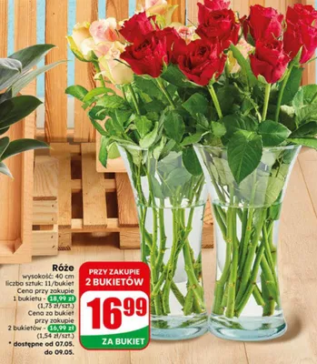Róże wysokość 40cm 11szt/bukiet promocja w Dino