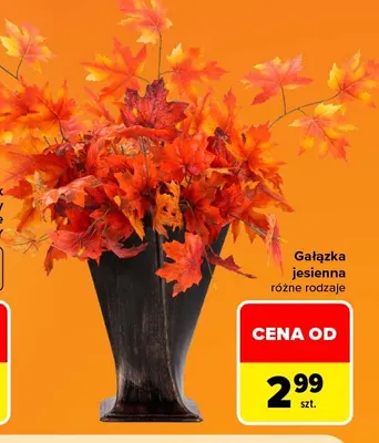Gałązka jesienna promocja w Carrefour