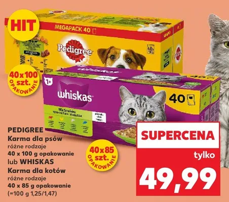 Karma dla psów różne rodzaje 40 x 100g opakowanie promocja w Kaufland