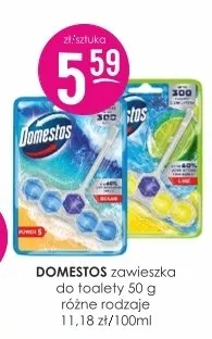 Zawieszka do toalety 50 g różne rodzaje 11.18 zł/100ml Domestos promocja w Drogerie Jasmin