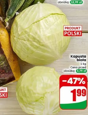 Kapusta biała promocja w Dino