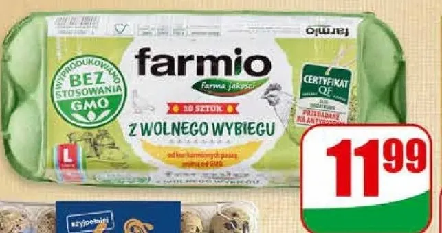 Jaja świeże z wolnego wybiegu promocja w Dino
