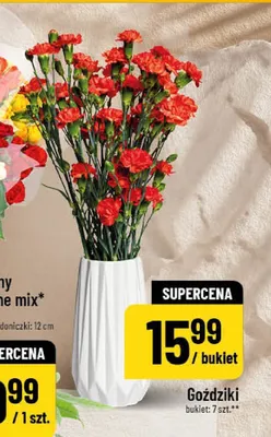 Goździki bukiet 7-pak promocja w POLOmarket