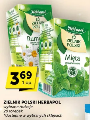 Zielnik polski Herbapol promocja w Groszek