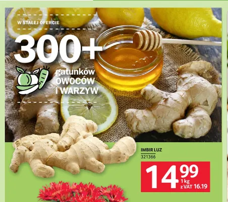 Imbir luz promocja w Selgros