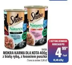 Mokra karma dla kotów z białą rybą, z łososiem puszka promocja w Tomi Markt