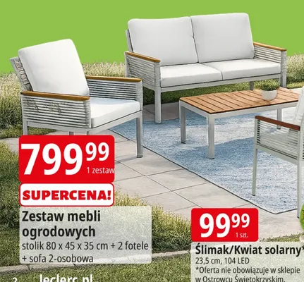 Ślimak/Kwiat solarny promocja w Leclerc