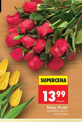 Róża 15 szt. promocja w Biedronka