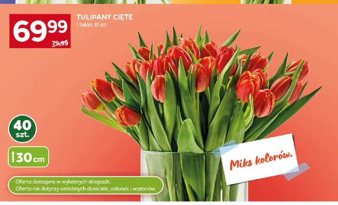 Tulipany cięte 30cm promocja w Stokrotka