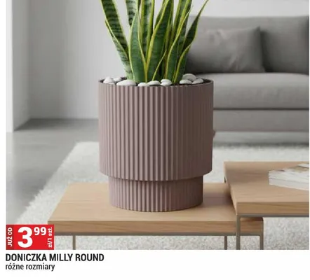 Doniczka Milly Round promocja w Merkury Market