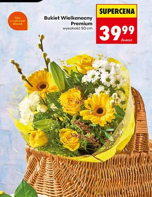 Bukiet Wielkanocny Premium wysokość 50 cm promocja w Biedronka