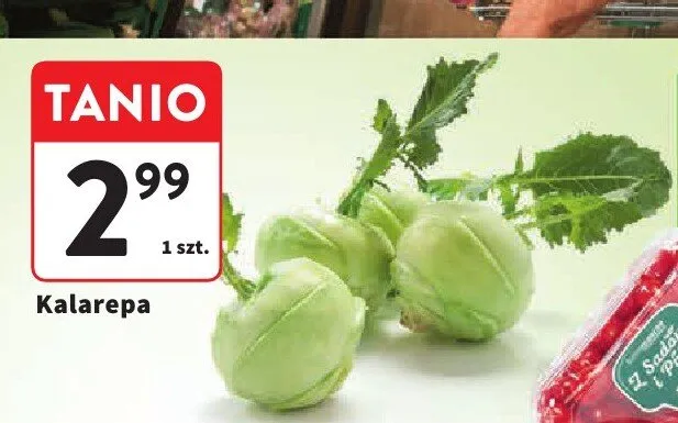 Kalarepa promocja w Intermarche