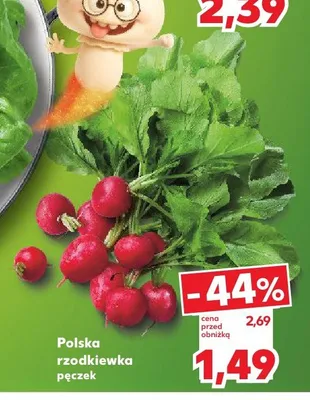 Rzodkiewka polska promocja w Kaufland