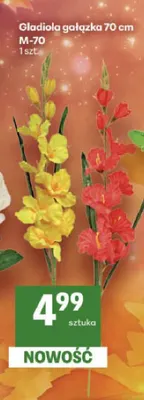 Gladiola gałązka 70 cm promocja w Delikatesy Centrum