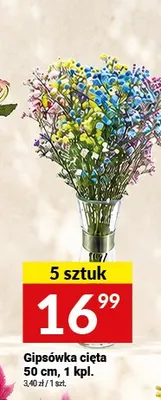 Gipsówka cięta 5-pak promocja w Twój Market