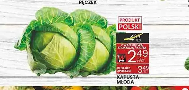 Kapusta młoda promocja w Wafelek