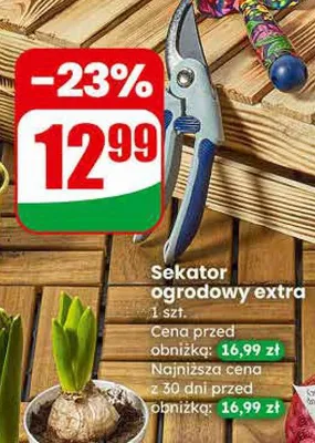 Sekator ogrodowy extra promocja w Dino