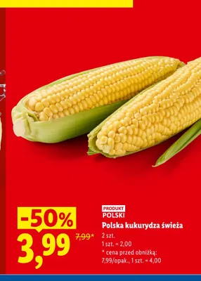 Kukurydza świeża 2-pak promocja w Lidl