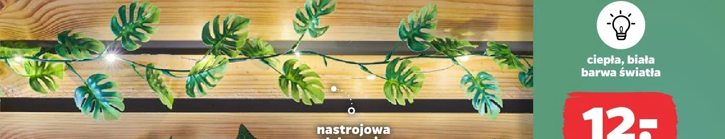 Łańcuch LED monstera promocja w Netto