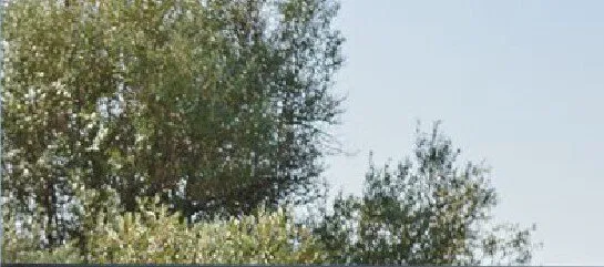 Twój ogród taki jak lubisz, strona 12 promocja w Black Red White