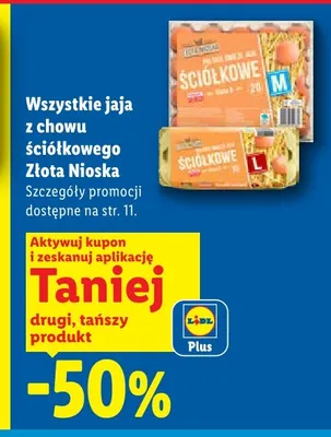 Jaja z chowu ściółkowego Złota Nioska M 20 szt promocja w Lidl