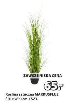 Roślina sztuczna MARKUSFLUE promocja w Jysk