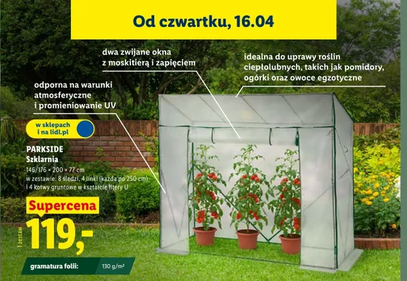 Szklarnia, 146-176x00x77 cm promocja w Lidl