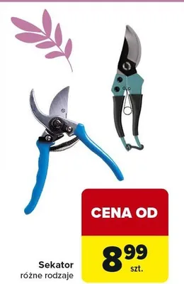 Sekator różne rodzaje promocja w Carrefour