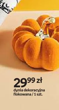 Dynia dekoracyjna flokowana Hello Autumn promocja w Empik