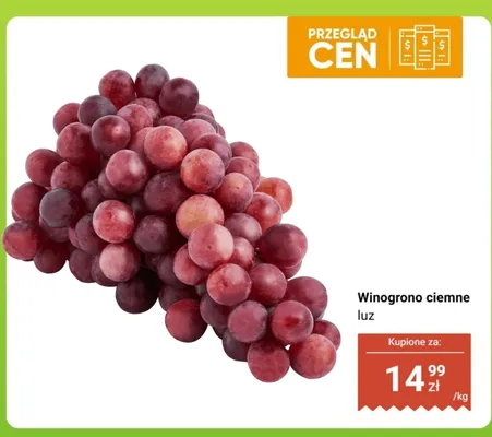 Winogrono ciemne luz Dino promocja w Dino