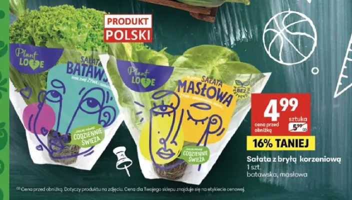 Sałata z bryłą korzeniową batawska Plant Love promocja w Delikatesy Centrum