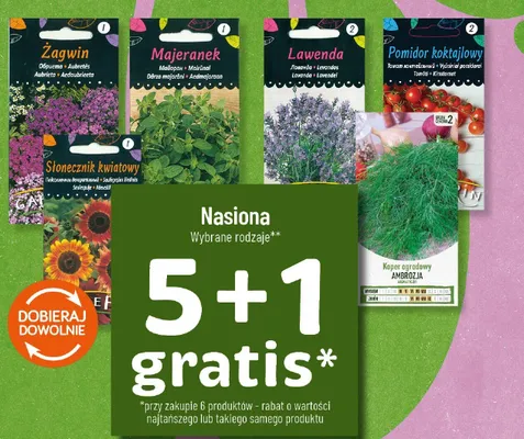 Nasiona 5+1 GRATIS promocja w POLOmarket