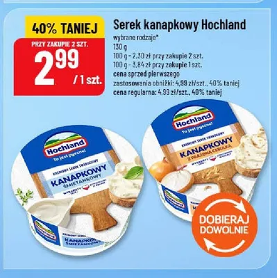 Serek kanapkowy Hochland z prażoną cebulką promocja w POLOmarket