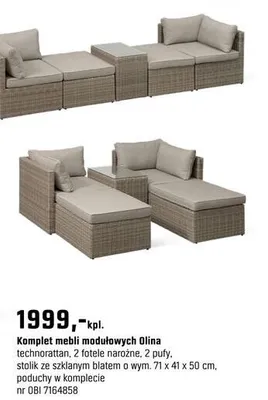 Katalog Ogród, strona 17 promocja w OBI