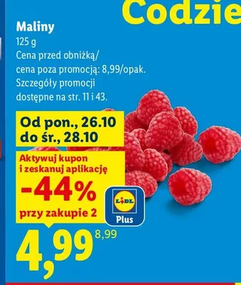Maliny promocja w Lidl