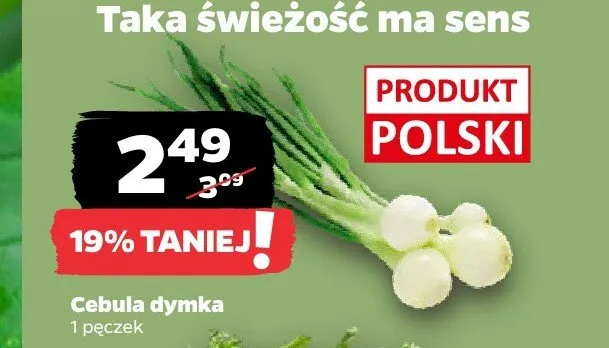 Cebula dymka polska promocja w Netto