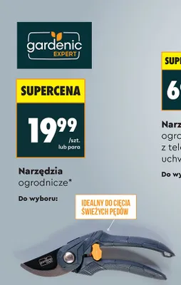 Sekator nożycowy o długości 21cm promocja w Biedronka