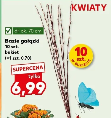Bazie gałązki bukiet promocja w Kaufland