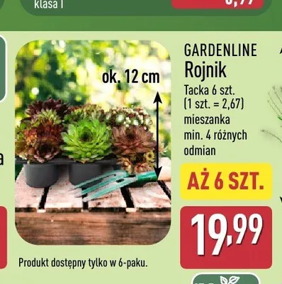 Rojnik Gardenline promocja w Aldi